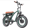 GOGOBEST GF750 PLUS Electric City Retro Bike 2000W Motor 100KM Range 25kmh Speed